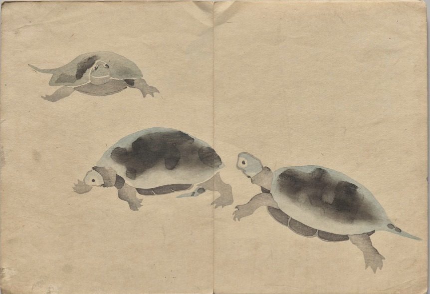Scene from The Kōrin Picture Book (Volume 2) by Nakamura Hōchū (Japanese, d. 1819)
