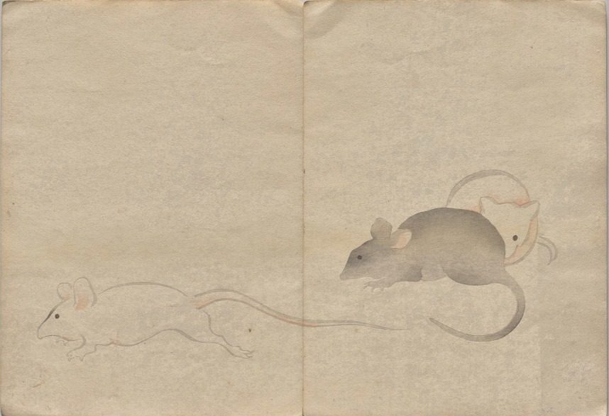 Scene from The Kōrin Picture Book (Volume 2) by Nakamura Hōchū (Japanese, d. 1819)