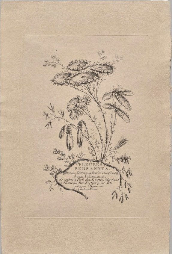 Persian Flowers by Jean Baptiste Pillement (French, 1728–1808)