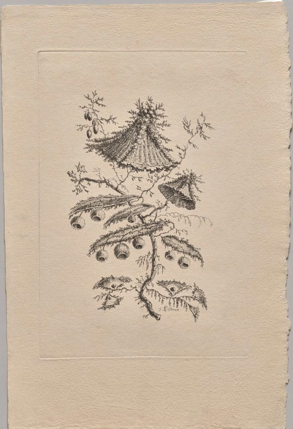 Persian Flowers by Jean Baptiste Pillement (French, 1728–1808)
