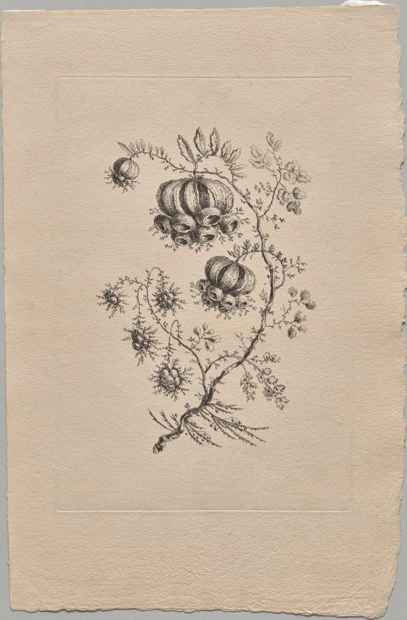 Persian Flowers by Jean Baptiste Pillement (French, 1728–1808)