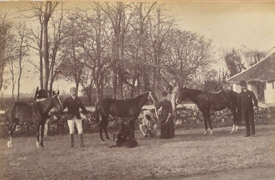 Captain Brown's horses, Jhansi (recto, top) by Raja Deen Dayal (Indian, 1844–1905)
