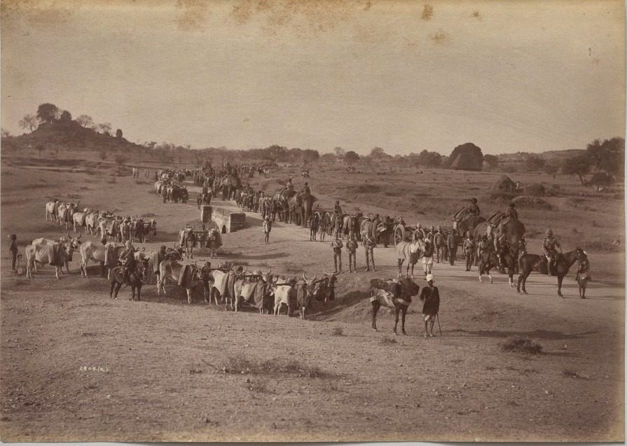 Elephant Battery on March at Jhansi by Raja Deen Dayal (Indian, 1844–1905)