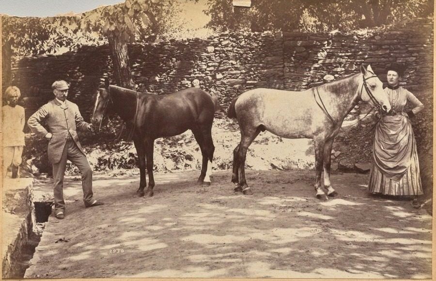 Col. F. G. Oldham (recto, top) by Raja Deen Dayal (Indian, 1844–1905)