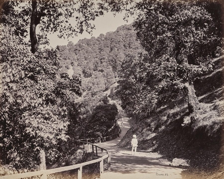 Shimla. The Mall near Rabq Lodge by Samuel Bourne (British, 1834–1912)
