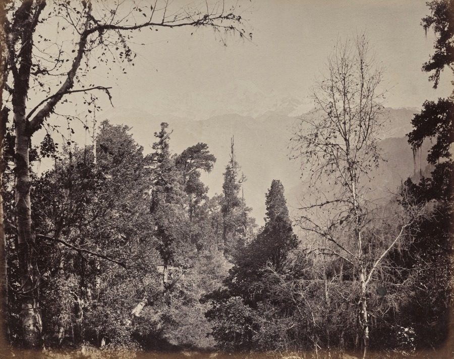 The Upper Himmalayahs. View of the Mountain of Bunderpoonch with the Jumnootri Peak, 20,458 above the Level of the Sea by Samuel Bourne (British, 1834–1912)