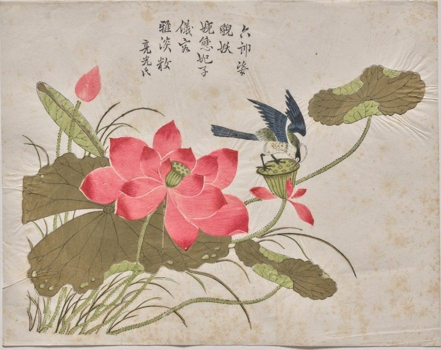 Bird on Lotus