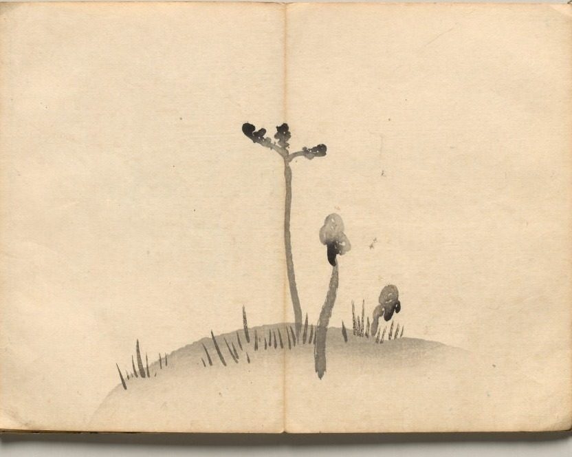 Bracken from Ōkyo Picture Book by Maruyama Ōkyo (Japanese, 1733–1795)