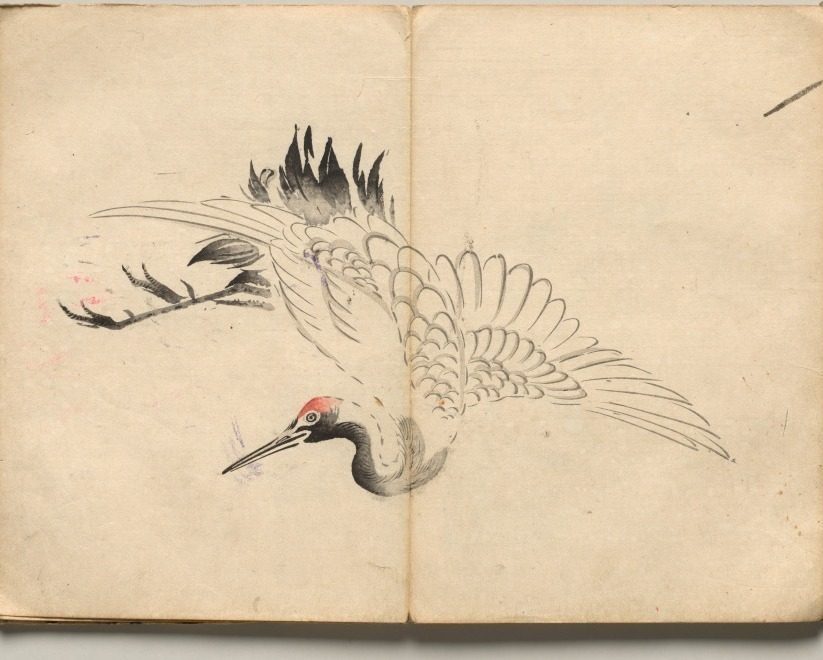 Crane from Ōkyo Picture Book by Maruyama Ōkyo (Japanese, 1733–1795)
