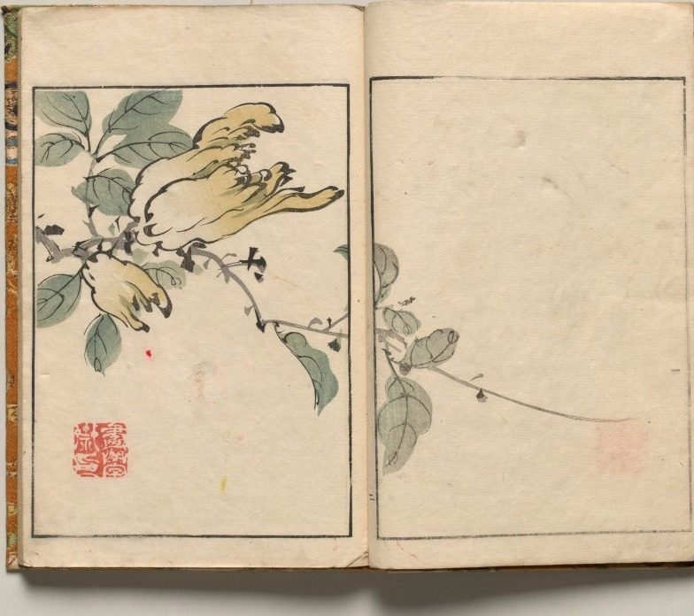Buddha's Hand, Design Two from Shazanrō Picture Book by Tani Bunchō (Japanese, 1763–1841)