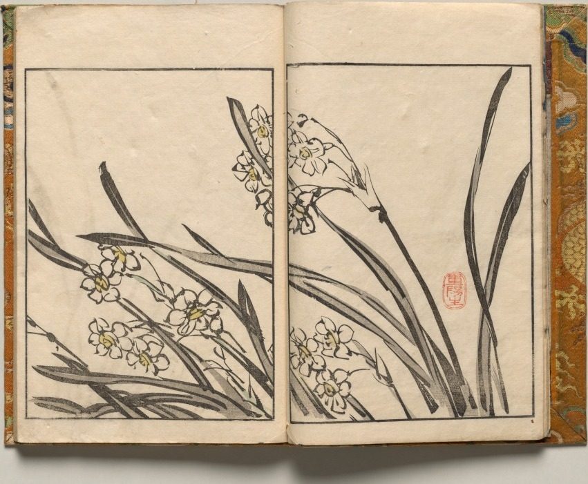Narcissus, Design Three from Shazanrō Picture Book by Tani Bunchō (Japanese, 1763–1841)