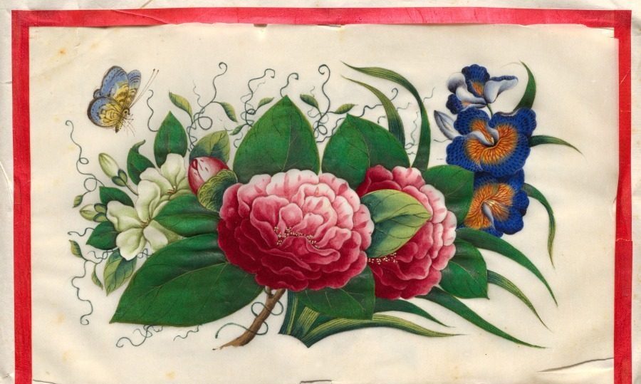 Painting Four from Illustrated Book of Flowers and Butterflies