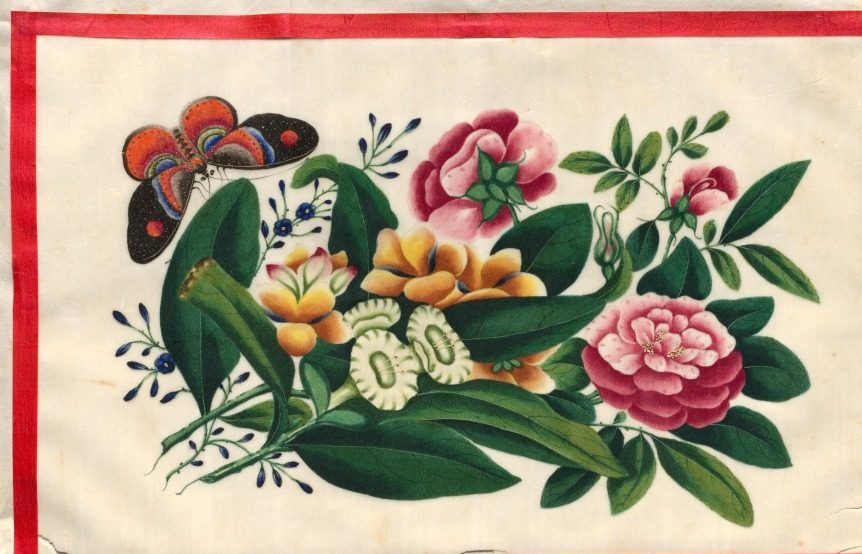 Painting Eight from Illustrated Book of Flowers and Butterflies
