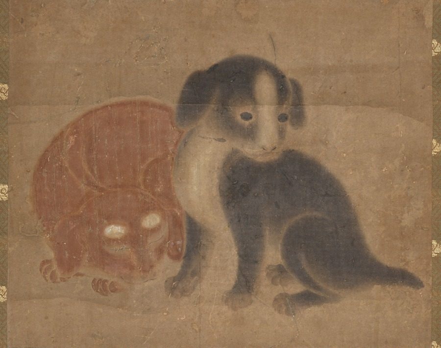 Puppies