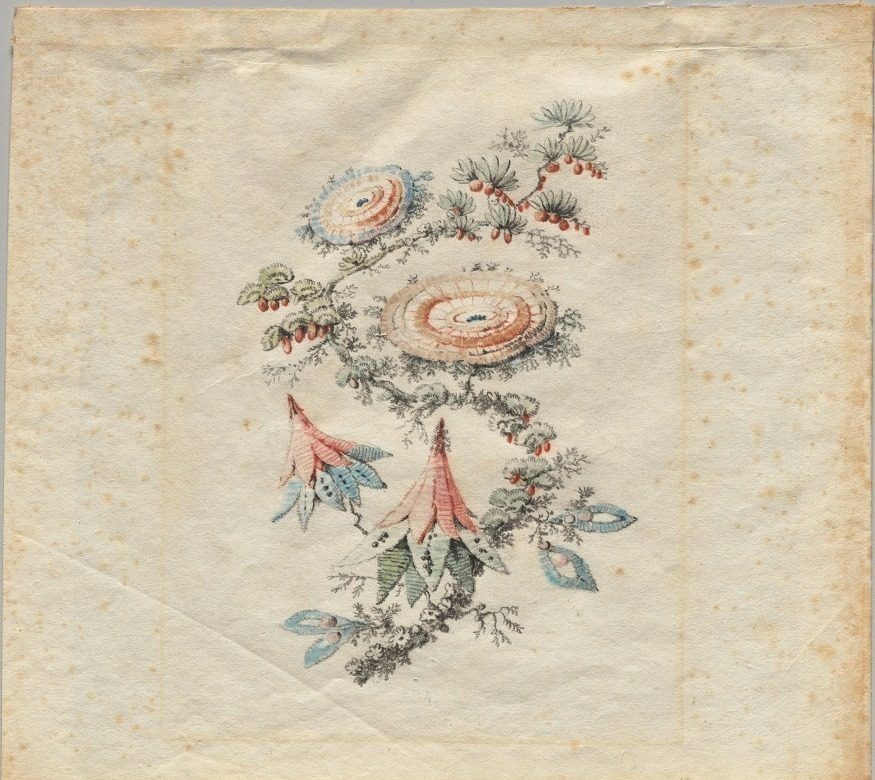 Flower Embroidery Design for Silk Manufactory of Lyon by Jean Baptiste Pillement (French, 1728–1808)