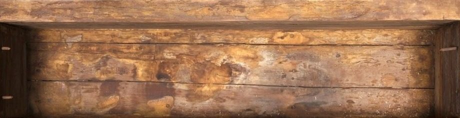 Coffin of Senbi