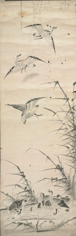 Wild Geese and Reeds
