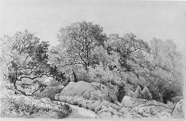 Landscape by David Johnson