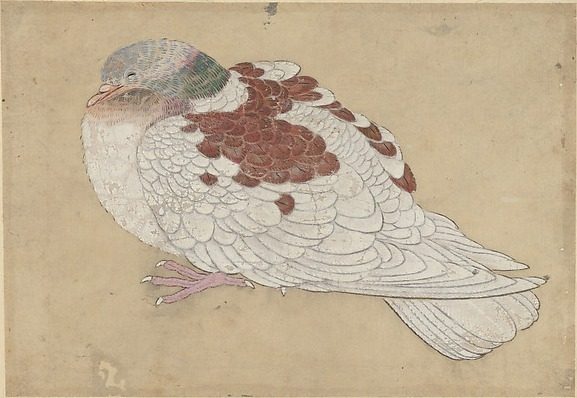 Bird by Ogawa Haritsu (Ritsuō)