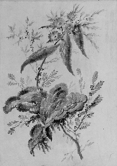 Flowers by Jean Pillement