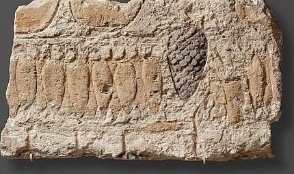 Relief with floral and fructal wall decoration