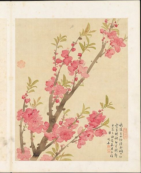 Flowers by Liang Yuwei