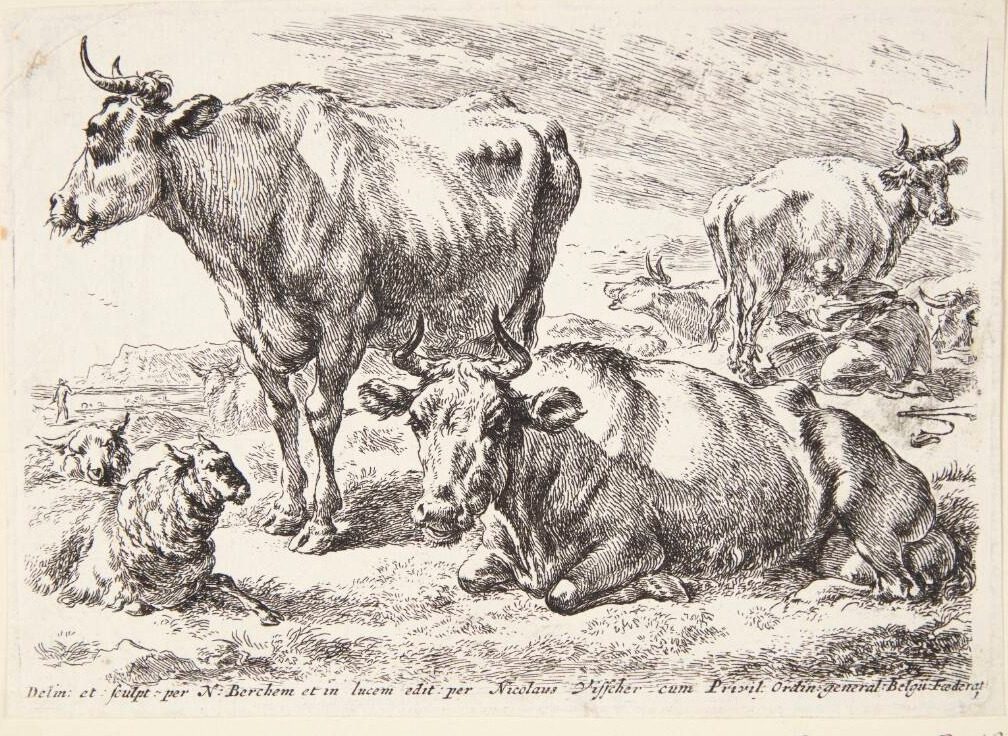Portræt af et medlem af Out-familien. Cornelis Out (?) by Ubekendt