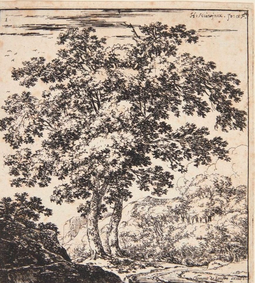 To store træer by Herman Naiwincx