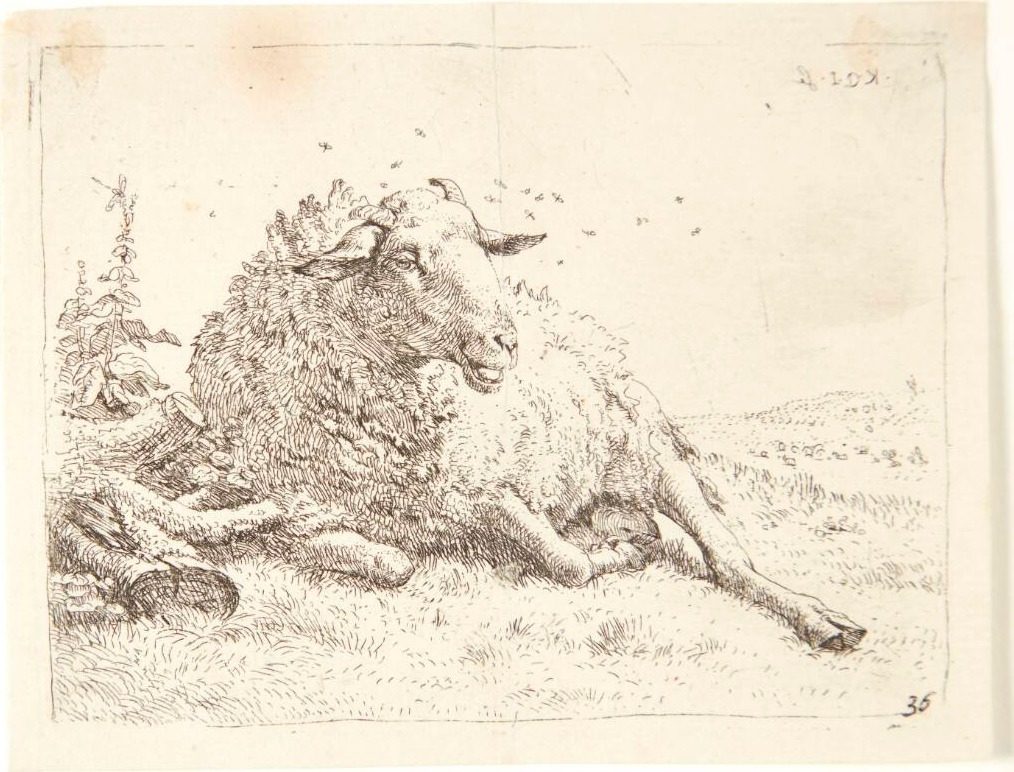 Liggende får ved en træstub by Karel Du Jardin