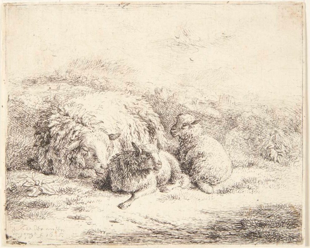 Liggende får med to lam by Jan van der Meer (II)