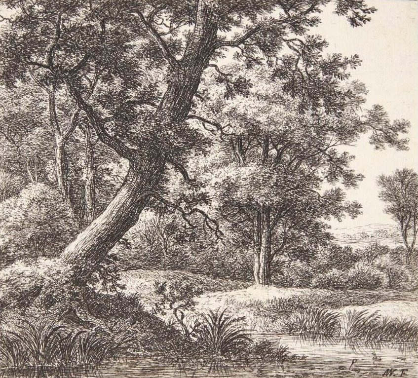 Bæk med et hældende træ by Anthonie Waterloo