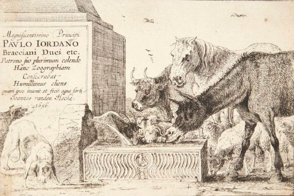 Titelblad til "Forskellige dyr" by Jan van den Hecke I