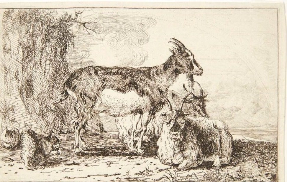 Geder by Jan van den Hecke I