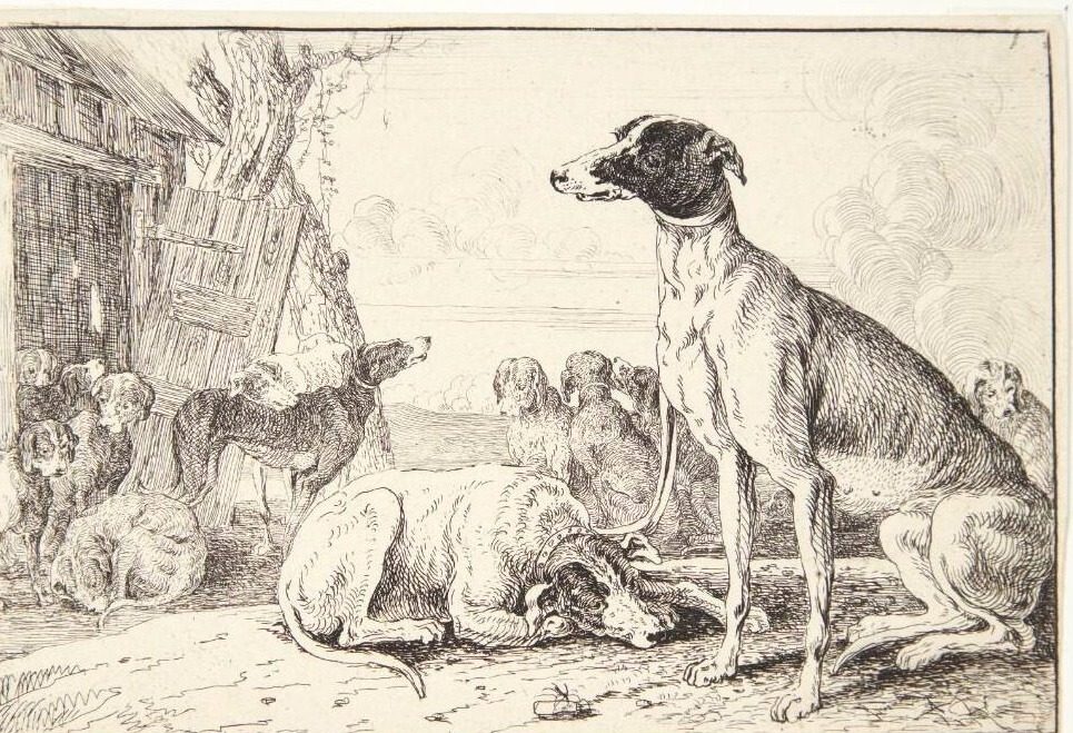 Hundekennel by Jan van den Hecke I