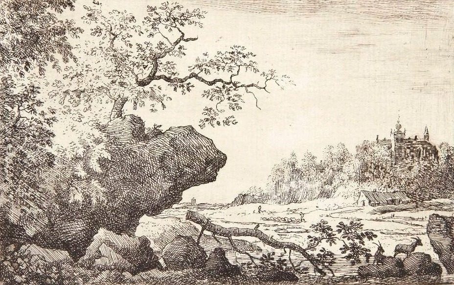 Landskab med nedfalden gren by Allaert van Everdingen