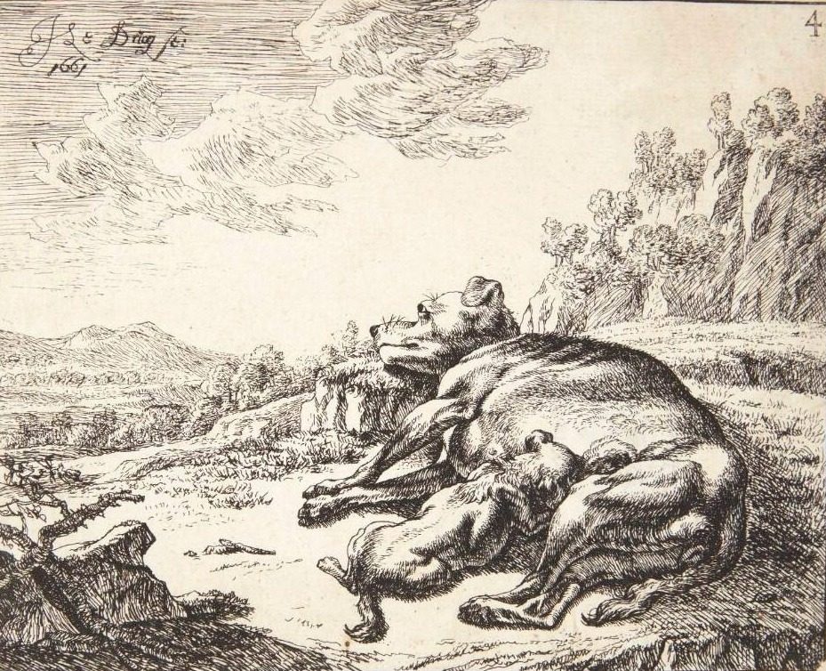 Tæve, som ammer sine hvalpe by Johan le Ducq