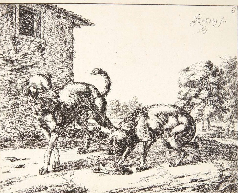 En jaloux hund by Johan le Ducq