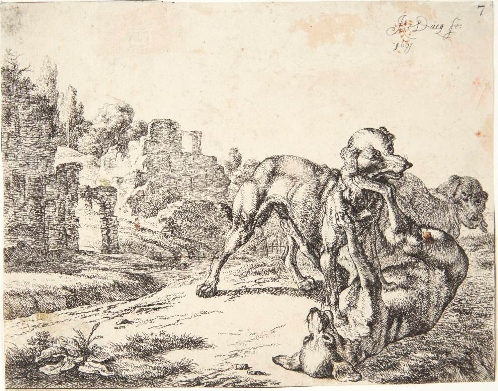 Hunde, som slås by Johan le Ducq