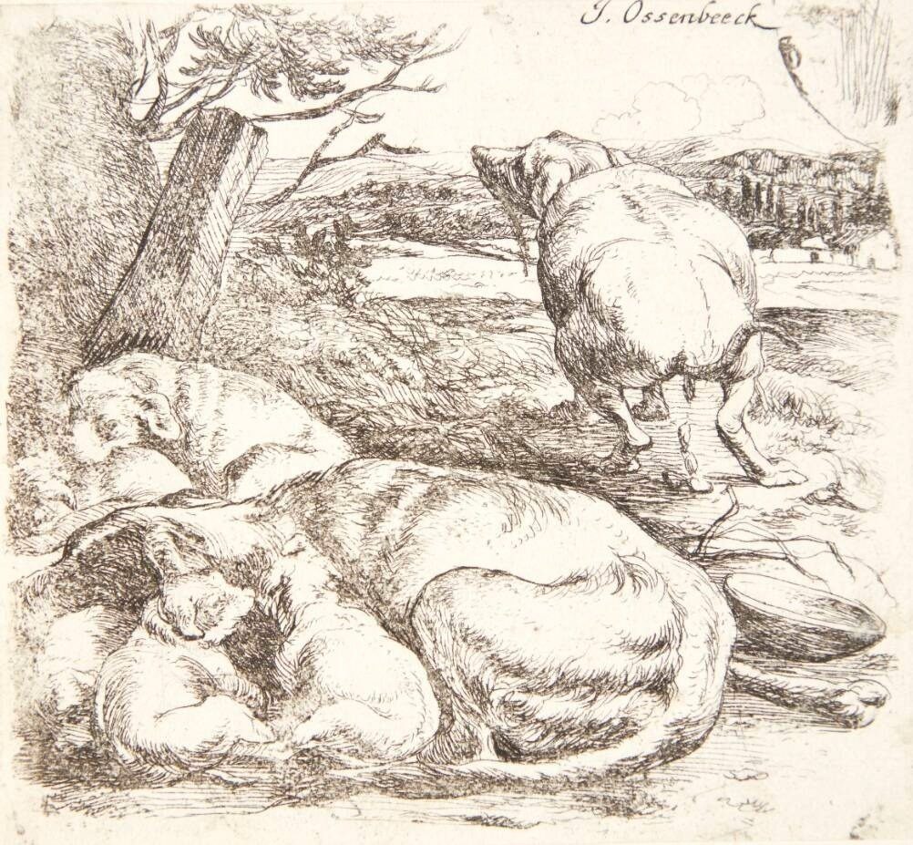 Hvilende hund med sine hvalpe by Ossenbeeck, Jan van