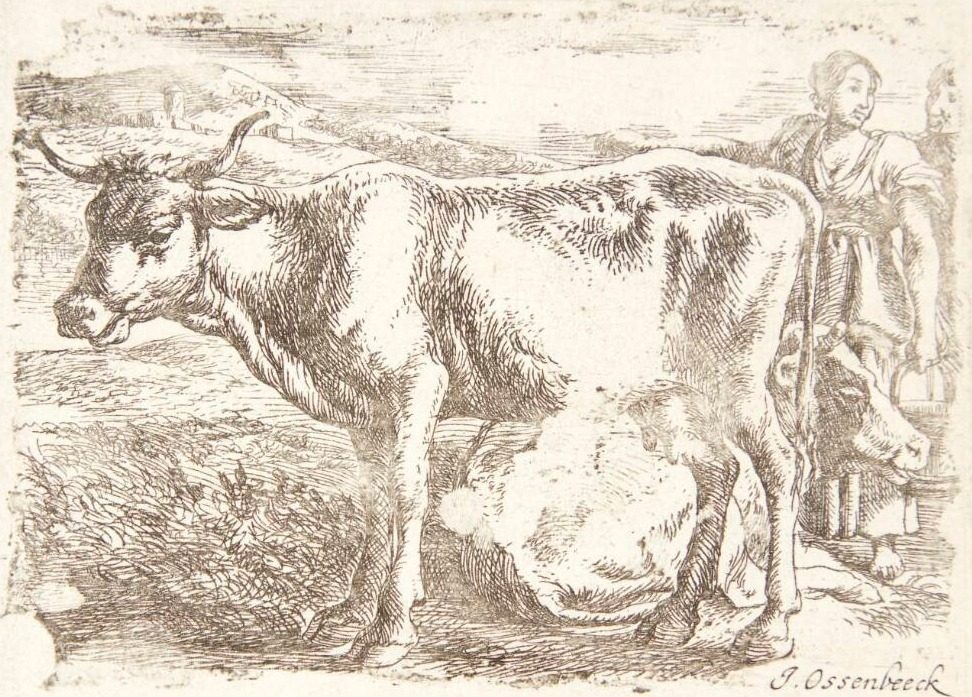 To køer, en malkepige og en ung mand by Ossenbeeck, Jan van