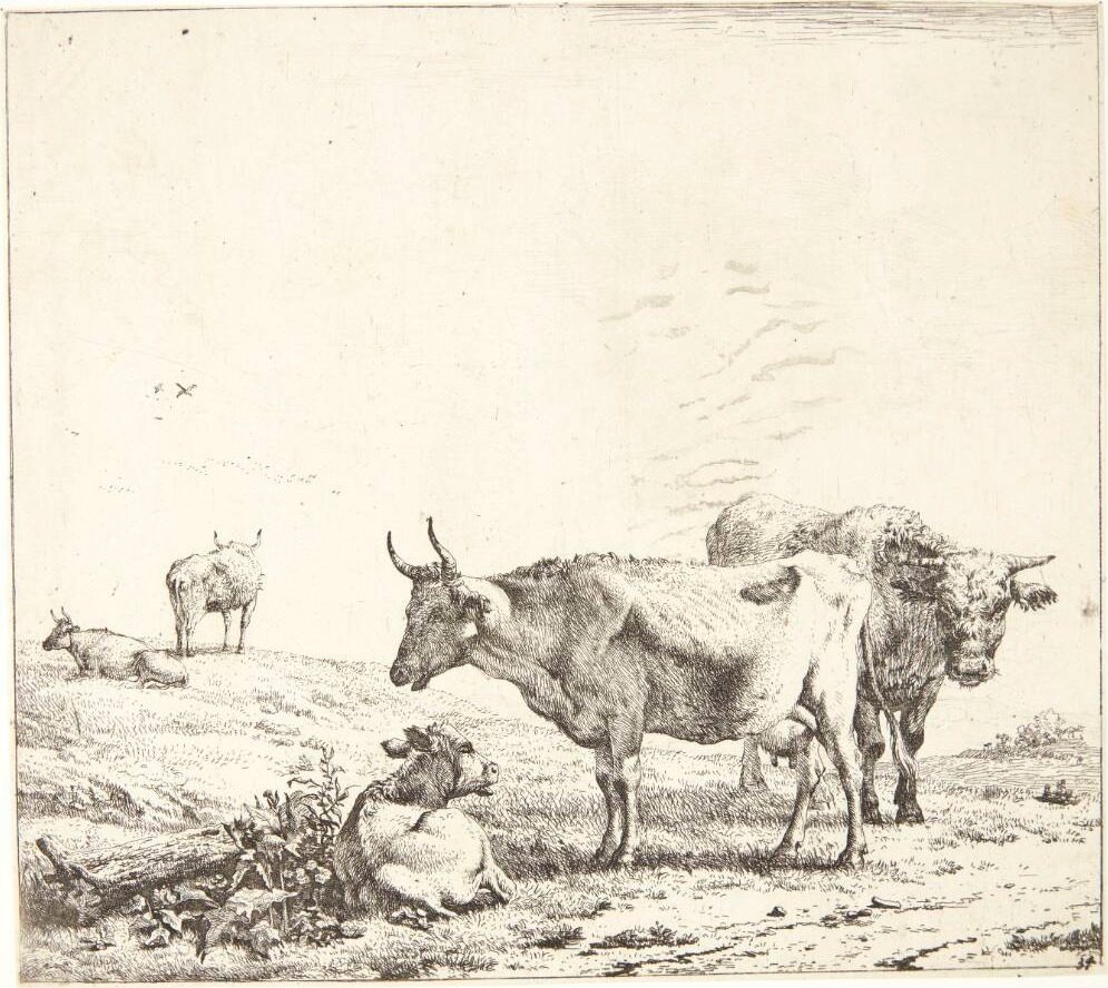 Koen, tyren og kalven by Karel Du Jardin