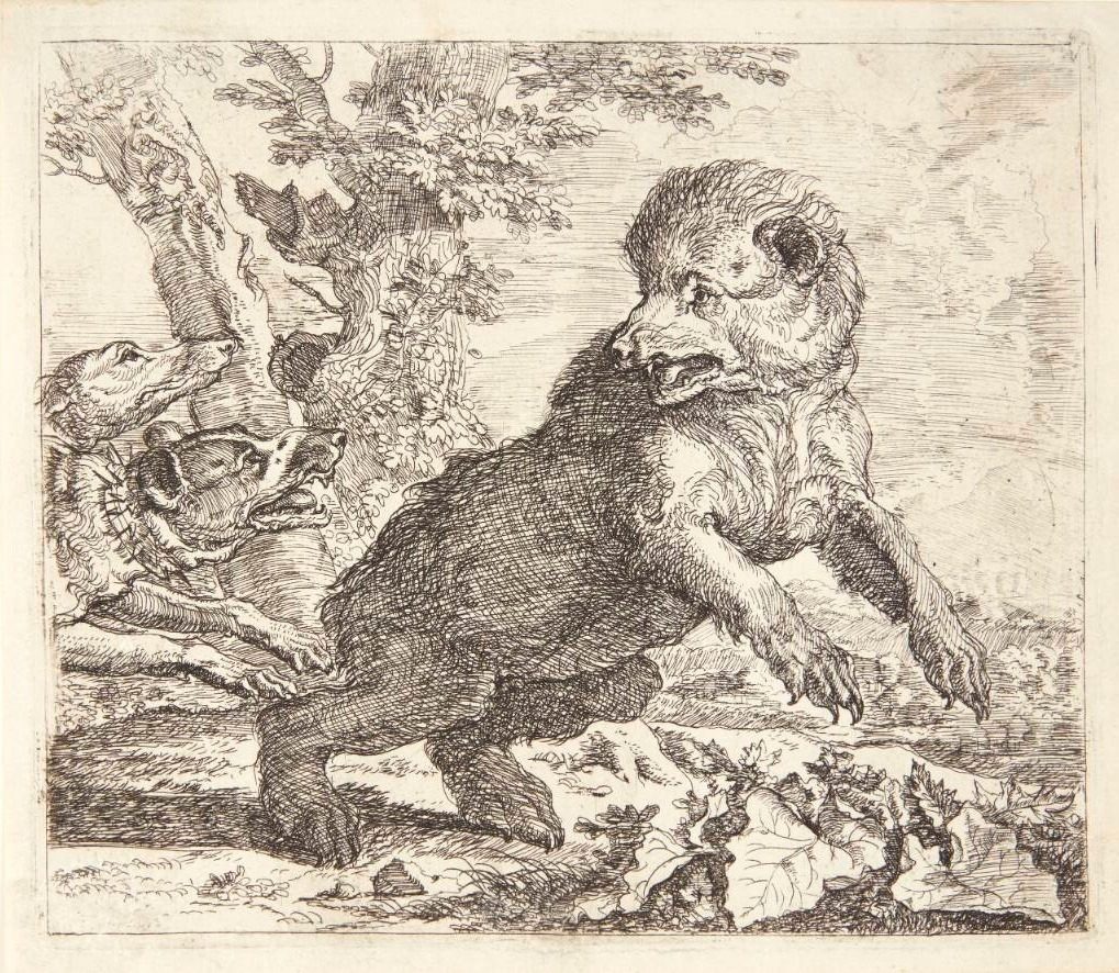 Bjørn jagtet af hunde by Abraham Hondius