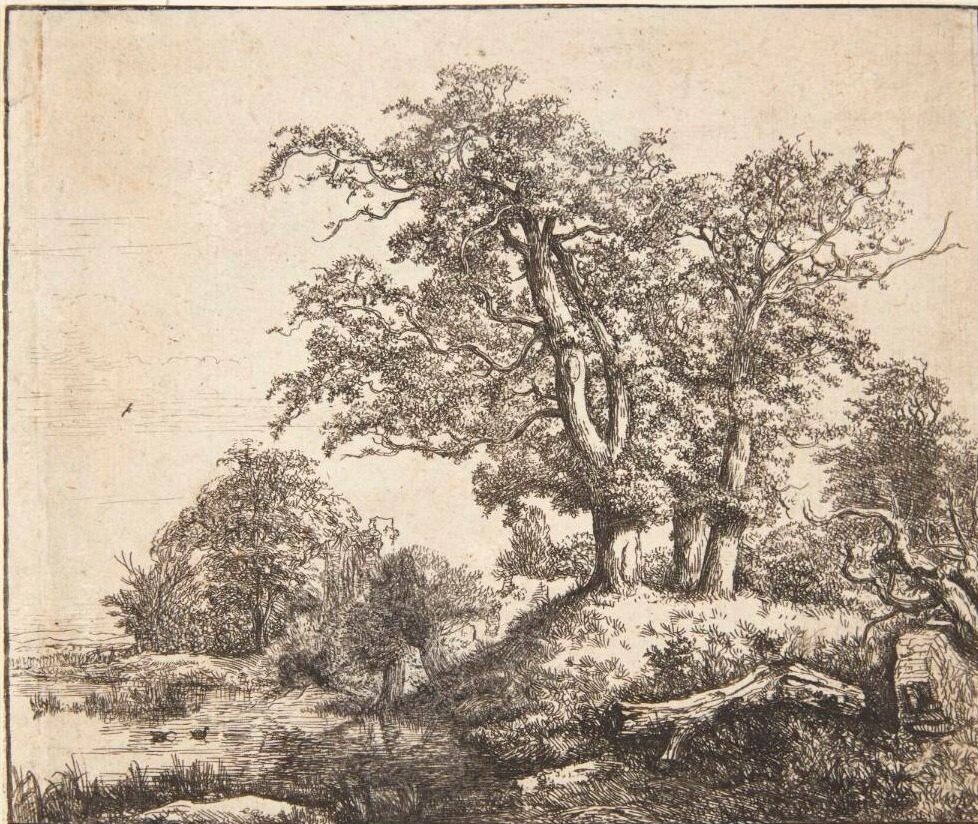 Tre egetræer by Jacob Isaacksz. van Ruisdael