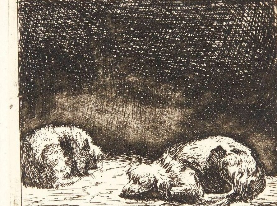 Hunden og katten by Karel Du Jardin