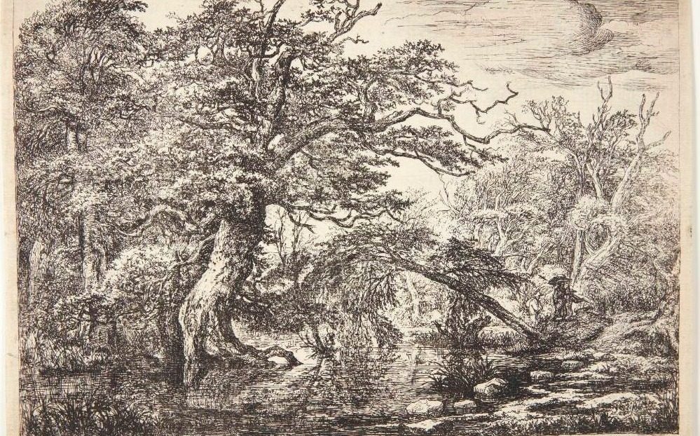 Vejfarende ved en flod med tæt bevoksning by Jacob Isaacksz. van Ruisdael