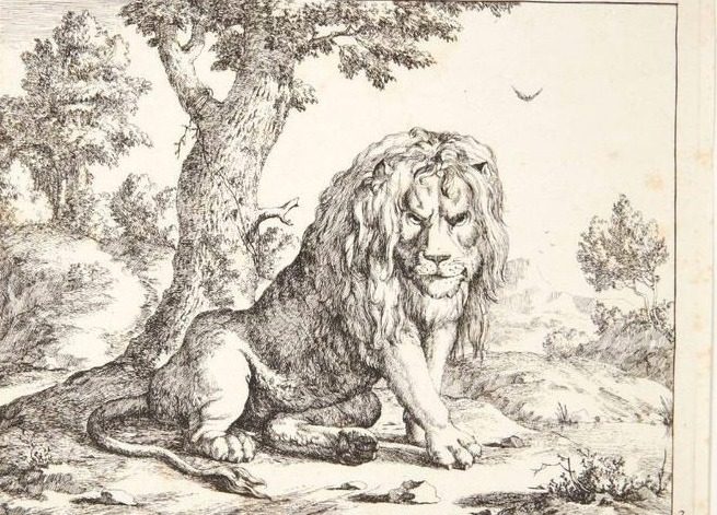 Siddende løve by Marcus de Bye