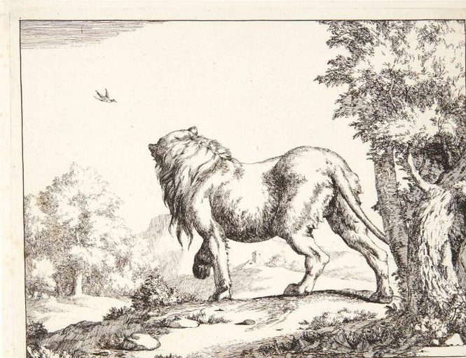 Stående løve, set bagfra by Marcus de Bye
