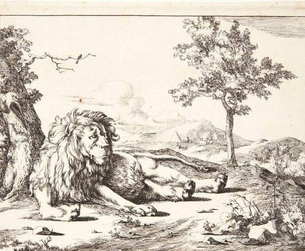 Liggende løve, set forfra by Marcus de Bye