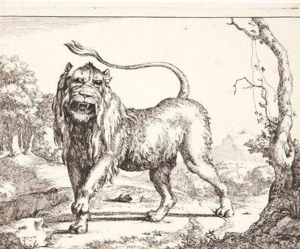 Brølende løve by Marcus de Bye