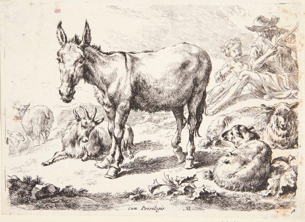 Æsel og geder by Nicolaes Berchem
